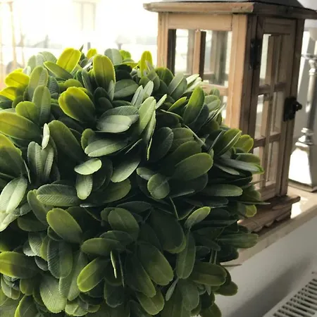 Stella Park Appartement *