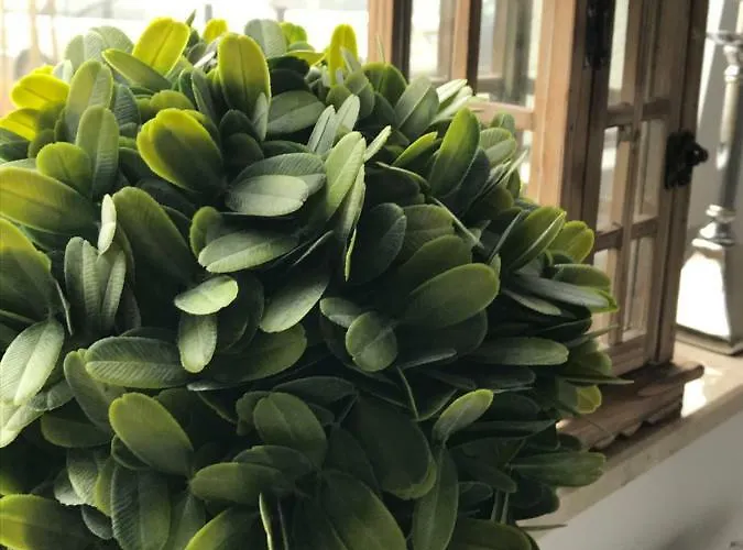 Stella Park Apartament *